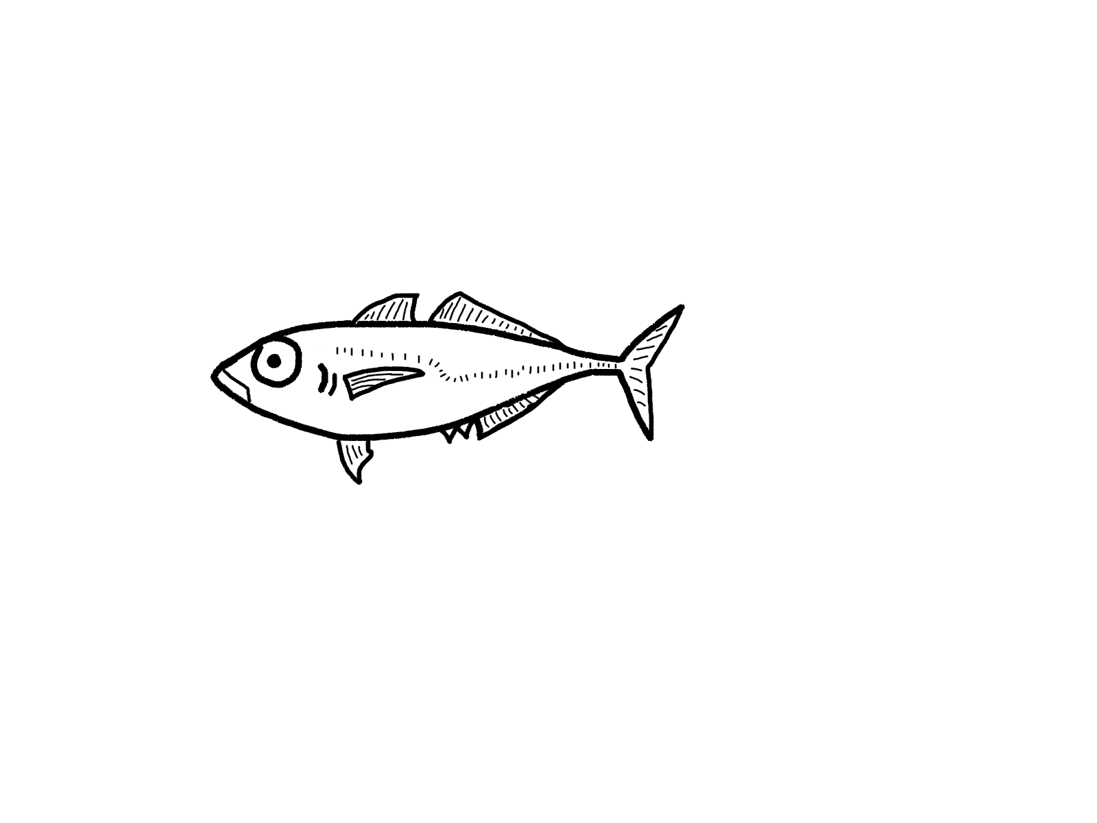 釣りのこと